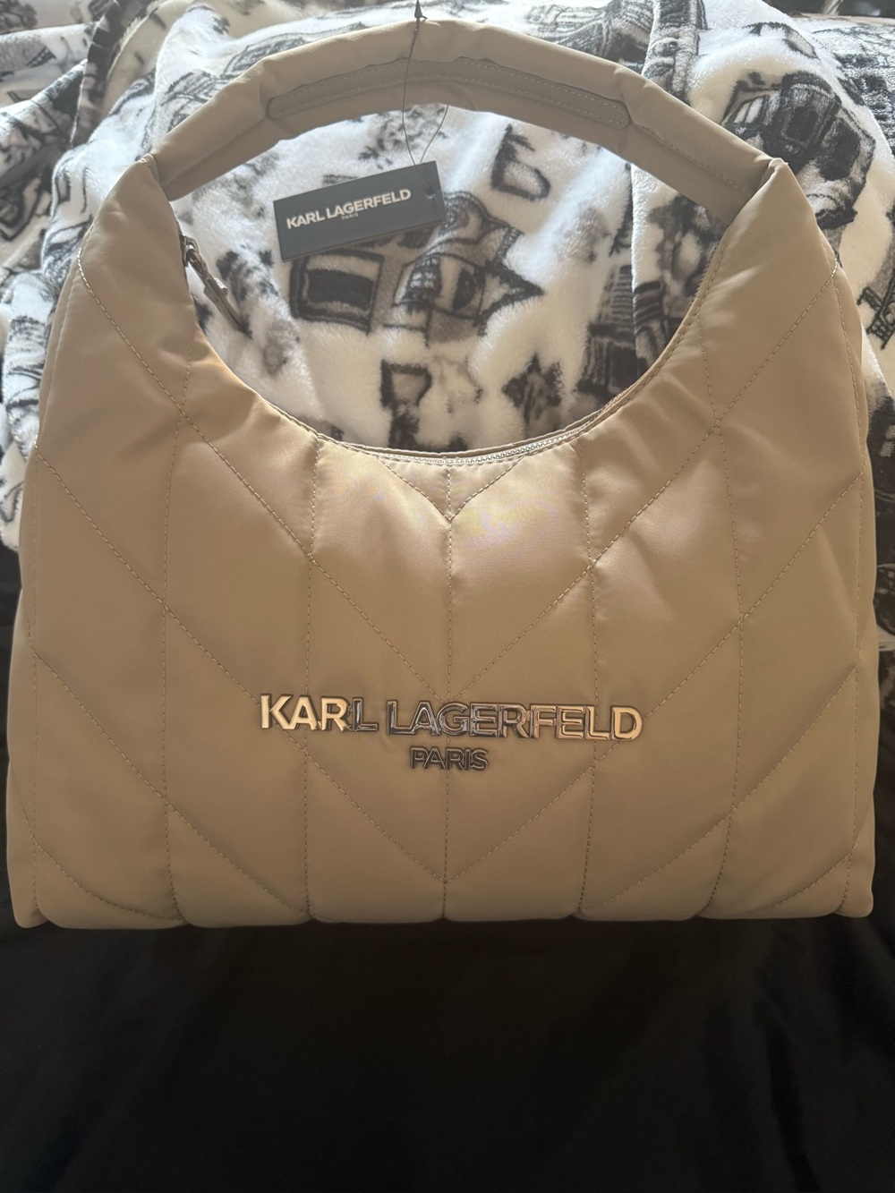 Bag Subcategory Classification - Picture 2 of 7
